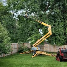 Best Tree Mulching  in Dresser, WI