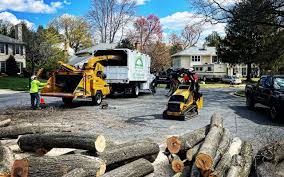 Best Fruit Tree Pruning  in Dresser, WI