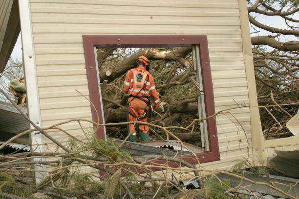 Seasonal Cleanup (Spring/Fall) in Dresser, WI